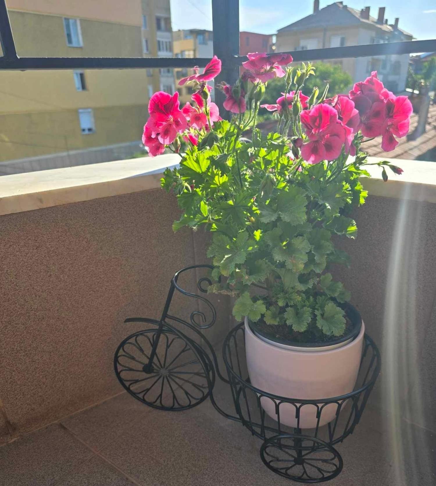 Luxury City Centre Appartment Iva Сливен Екстериор снимка